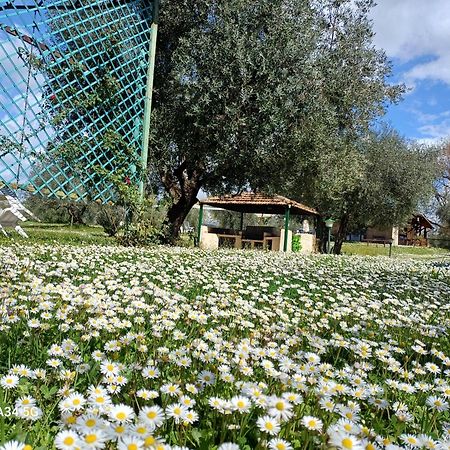 Agriturismo Bio Pian Dei Casali Saturnia Exteriér fotografie