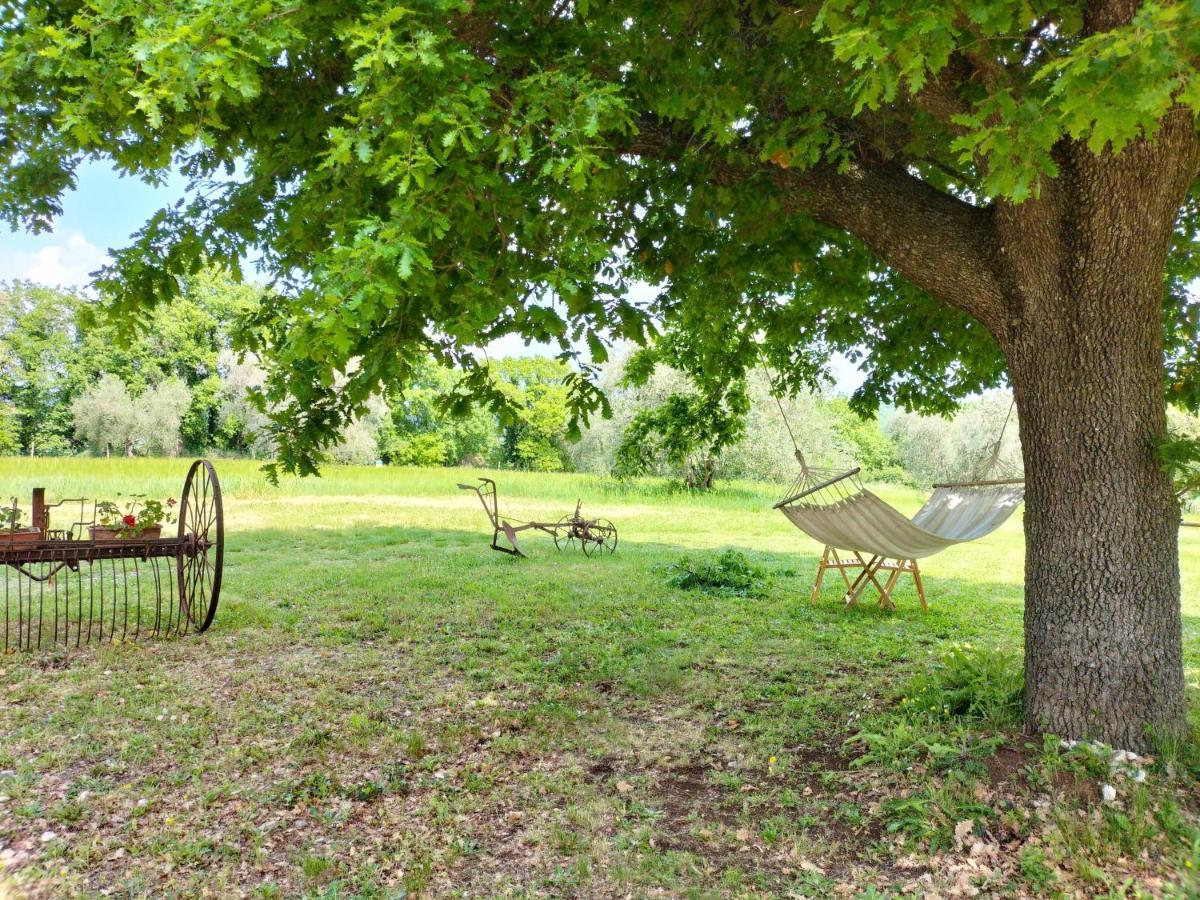 Agriturismo Bio Pian Dei Casali Saturnia Exteriér fotografie