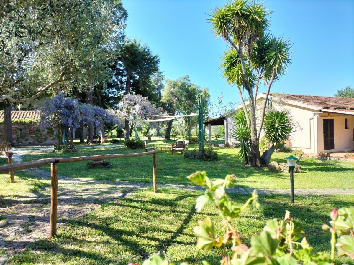 Agriturismo Bio Pian Dei Casali Saturnia Exteriér fotografie