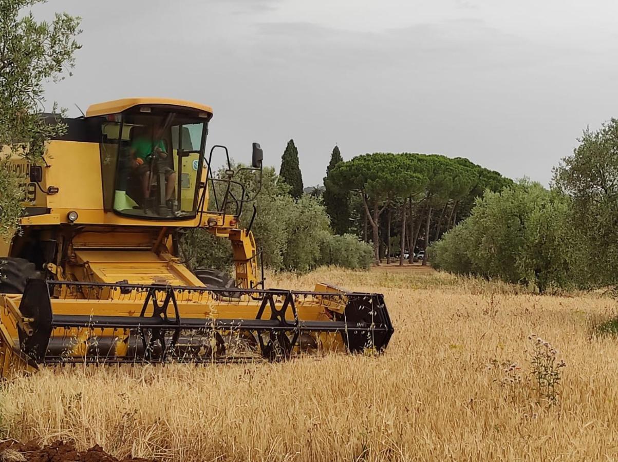 Agriturismo Bio Pian Dei Casali Saturnia Exteriér fotografie