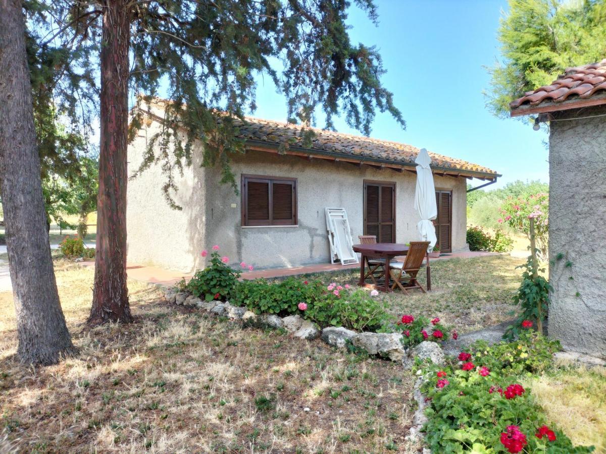 Agriturismo Bio Pian Dei Casali Saturnia Exteriér fotografie