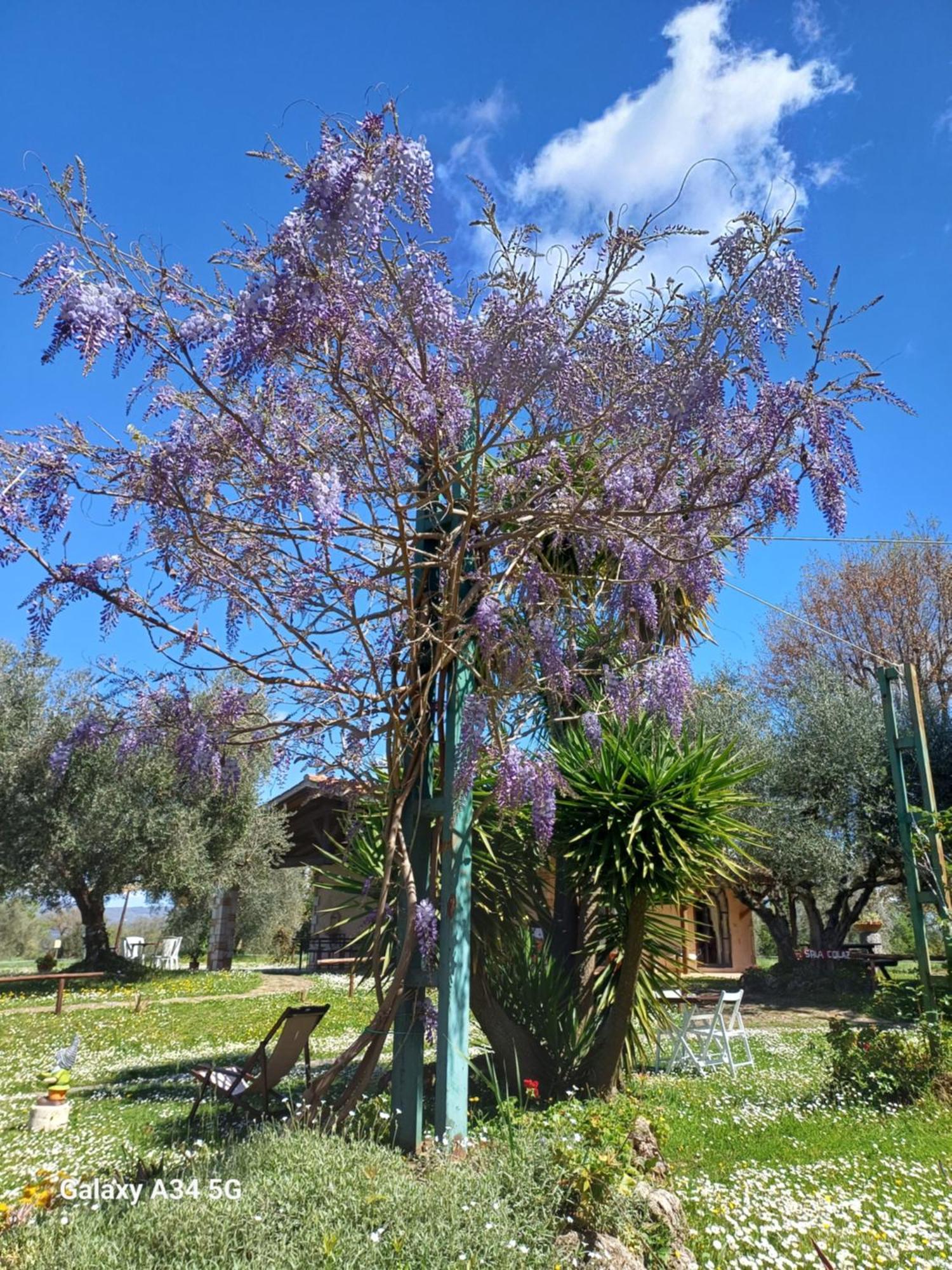 Agriturismo Bio Pian Dei Casali Saturnia Exteriér fotografie