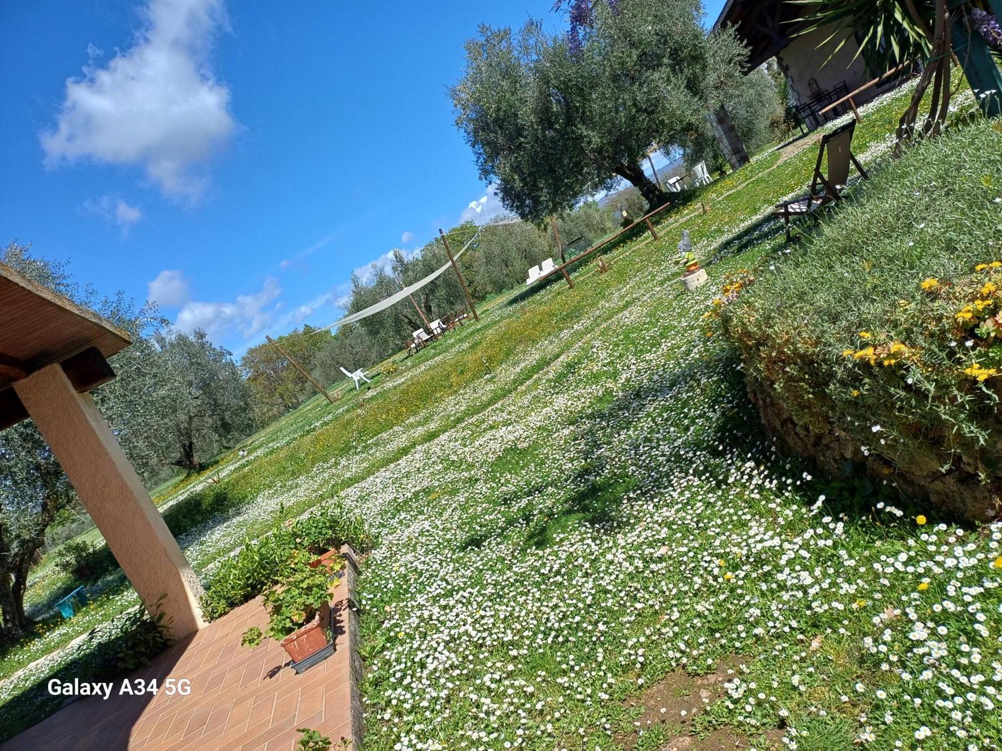 Agriturismo Bio Pian Dei Casali Saturnia Exteriér fotografie