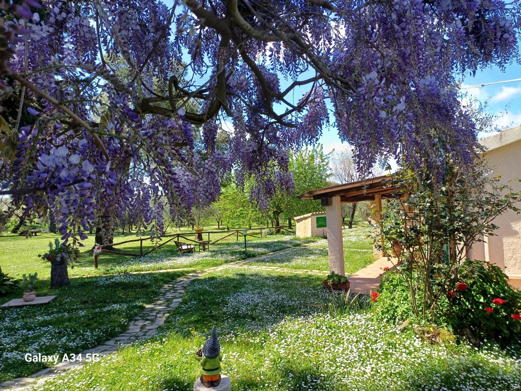 Agriturismo Bio Pian Dei Casali Saturnia Exteriér fotografie