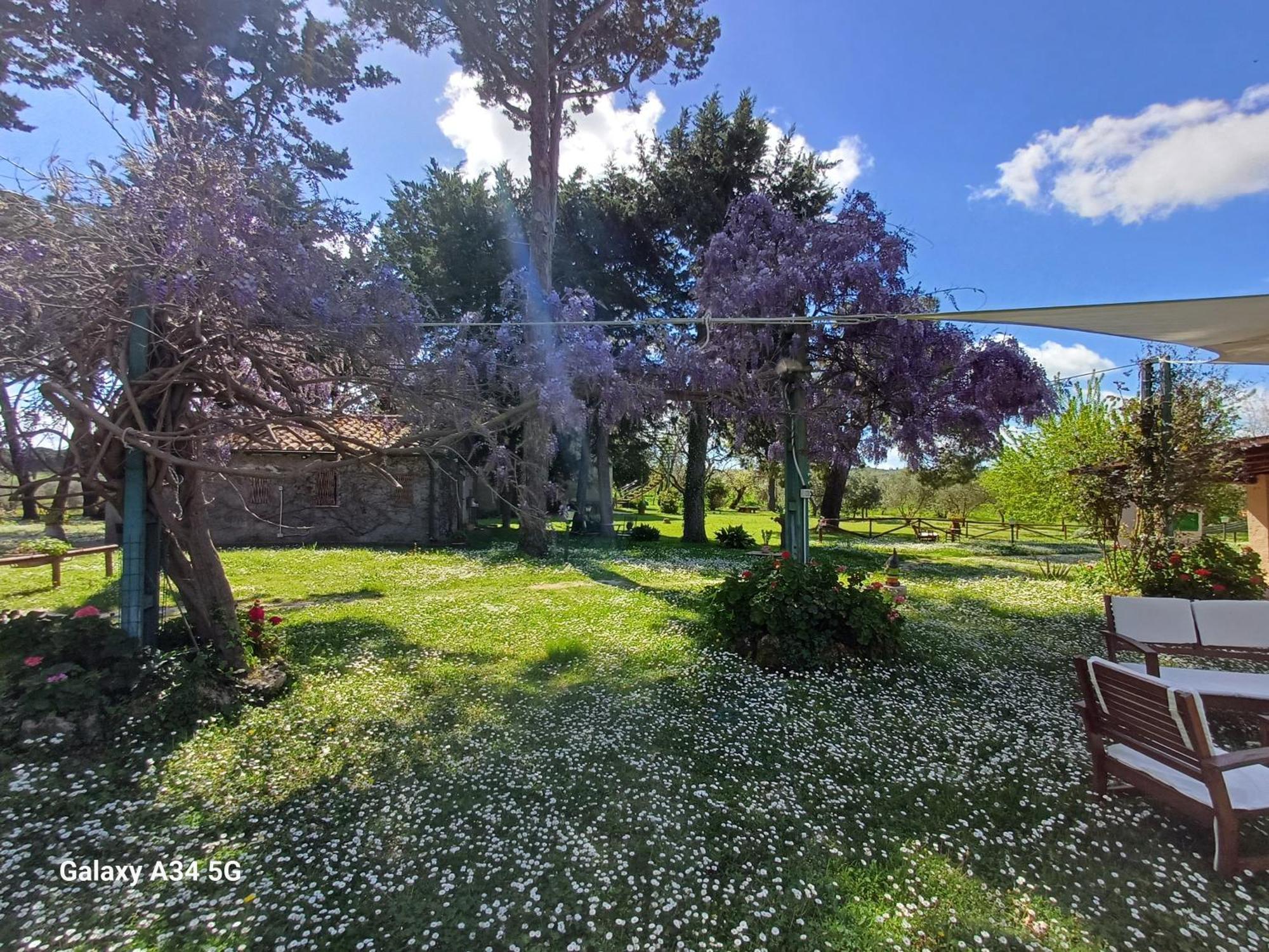 Agriturismo Bio Pian Dei Casali Saturnia Exteriér fotografie