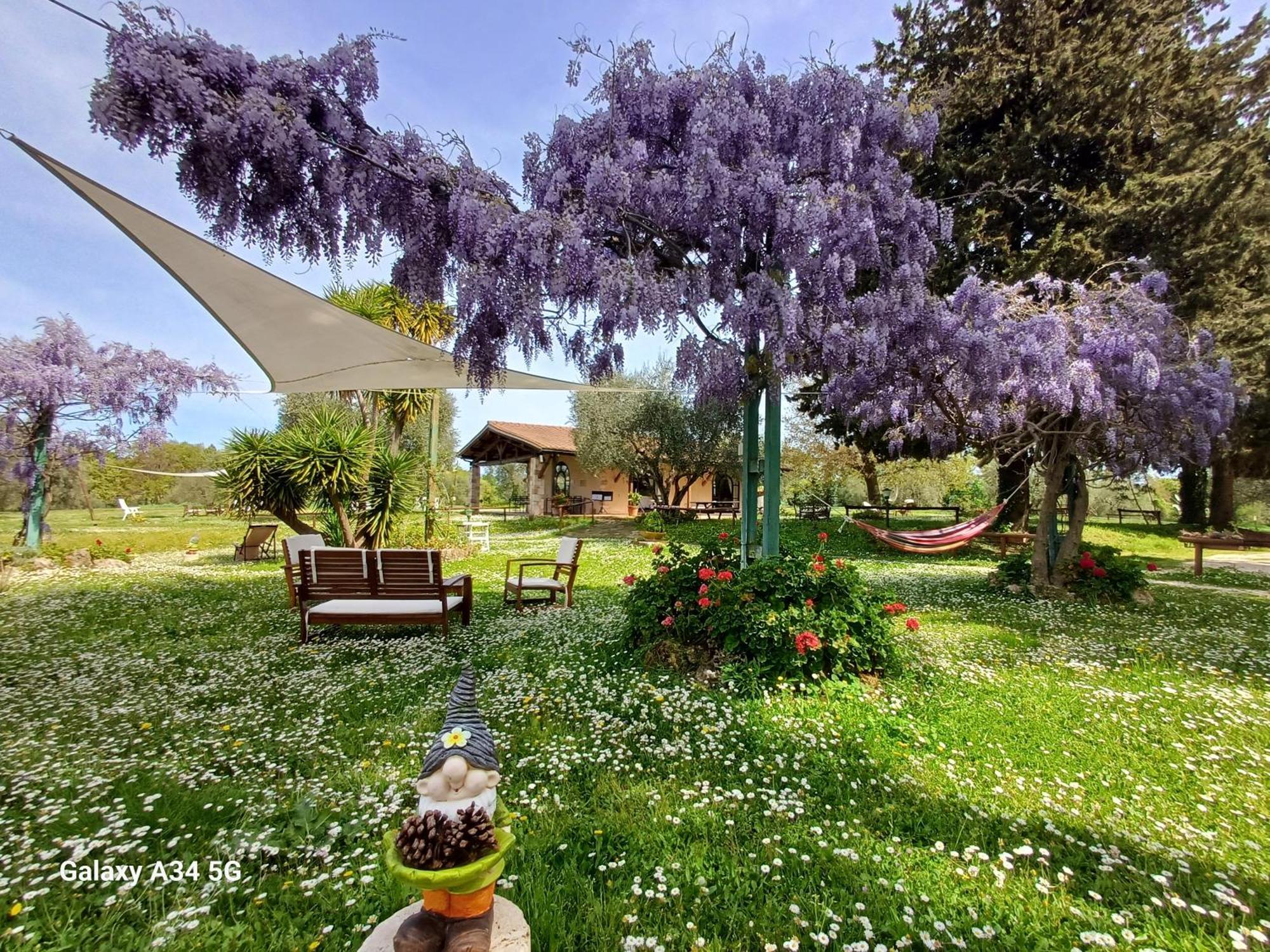 Agriturismo Bio Pian Dei Casali Saturnia Exteriér fotografie